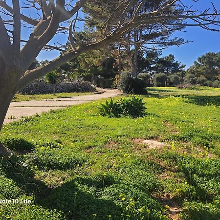 Sogni Nel Blu Favignana Villa Eksteriør bilde