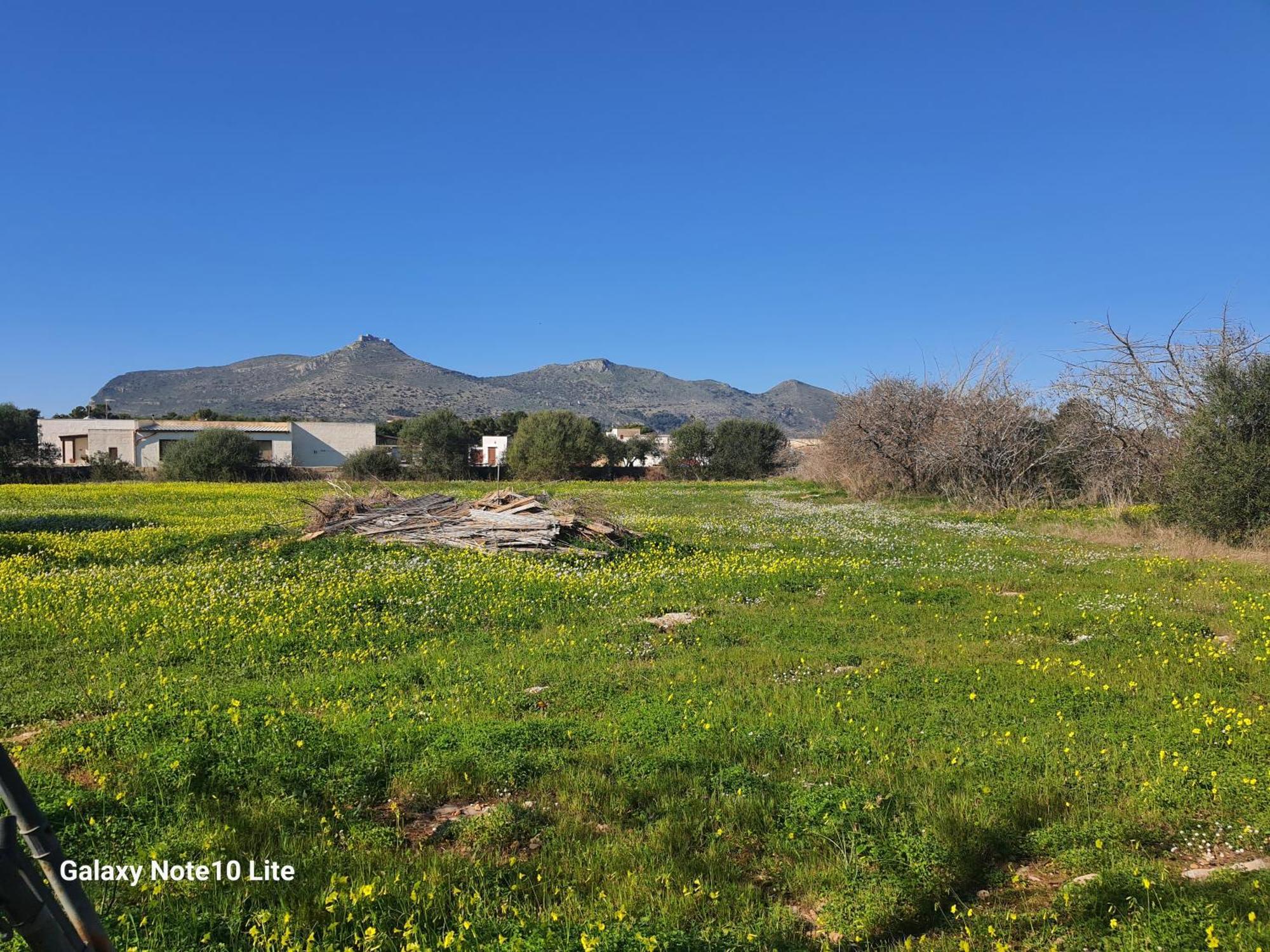 Sogni Nel Blu Favignana Villa Eksteriør bilde