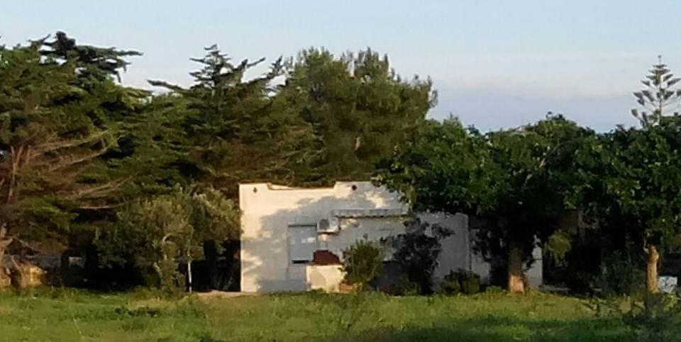Sogni Nel Blu Favignana Villa Eksteriør bilde